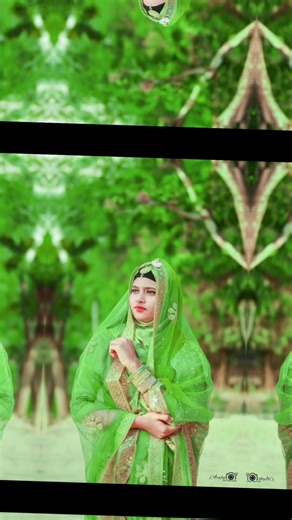 Canon 250d With 50mm Photography 😍 - #funnyvideo #shortvideo #shorts #viralvideo #viral #vlog 🖤