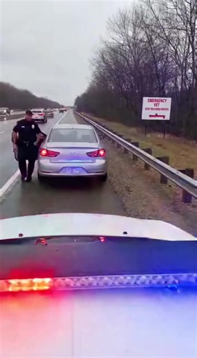 90 in a 45. The cop had every right to be angry. He walked up to the window ready to write the ticket. Then the driver BURST out of the car. Shaking. Blood on his shirt. Blood on his hands. "PLEASE — my dog got hit by a car — the vet is RIGHT THERE — PLEASE—" He opened the back door. A dog. Wrapped in a bloody towel. Barely breathing. Whimpering. "He's dying... please just let me go... please..." The cop looked at the dog. Looked at the man. Looked down the road — the emergency vet sign was 200 