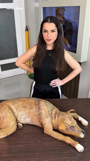 #mecchachameleon