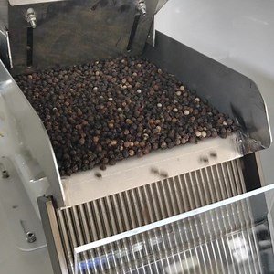 Pepper color sorter video Whatsapp number:+8618155161049 | Color Sorter Koala | Facebook