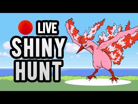 ✨SHINY HUNTING MOLTRES ✨ 『!youtube』『!twitter』『!discord』