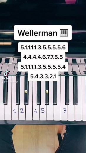 Learn Wellerman Sea Shanty on Piano with Easy Tutorial