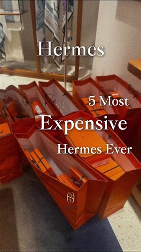 @sorte.inbag on Instagram: "The 5 most expensive Hermès bags ever made. Yes — the ones that cost more than houses, cars, and sometimes both. If you own even ONE Hermès bag, protect it like an investment. SORTE organizers keep the shape, the structure, and the resale value. #hashtags #Hermes #Birkin #Kelly #HermesCollector #LuxuryBags #HermesAddict #FashionReels #Sorte #BagTok"