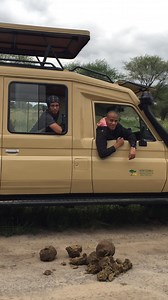 1.1K views · 10K reactions | 朗Have you seen a zebra hunting 煉 | 푻풂풏풛풂풏풊풂 푻풐풖풓 푶풑풆풓풂풕풐풓 | Facebook