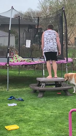 Oh no! Our table! It's broken! #funny #fail #break #afv | oh no our table is broken