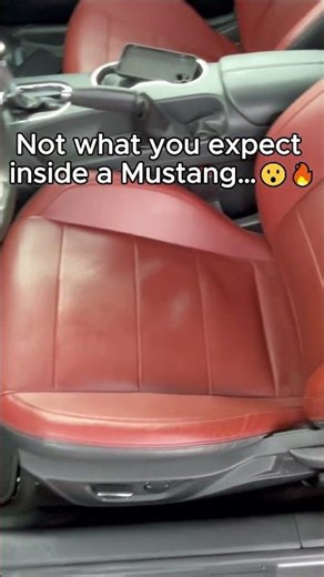 You Need to See This Interior....😳 Ford Mustang GT 5.0 V8