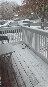 snowy season Nov.09 2025 at 7:55 am Canada time zone