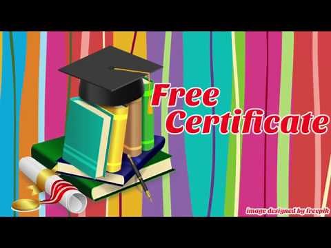 Perfect in Attendance Certificate