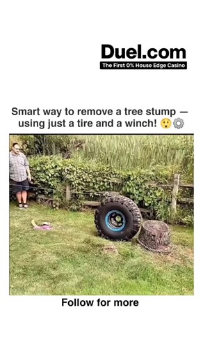 Mr Snapfix on Instagram: "A tire and winch work together to remove a tree stump by combining force and traction. The winch, a mechanical device with a rotating drum, pulls a strong steel cable attached to the stump. As the winch winds the cable, it generates pulling force, slowly loosening the roots from the ground. The tire, often attached to a vehicle, provides the necessary grip and stability, preventing slipping during the pull. Together, they use mechanical advantage — the winch’s pulling p