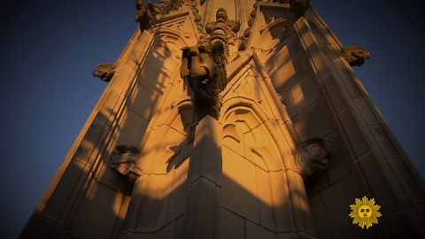 The art of gargoyles