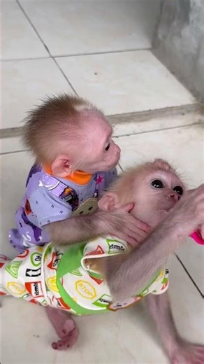 two babies fighting over milk