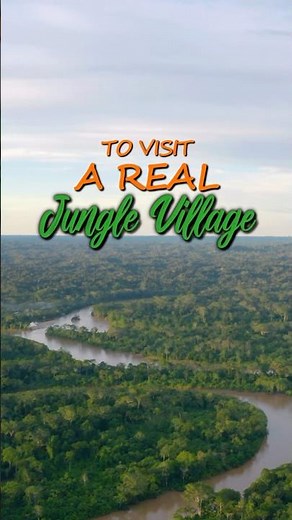 What Life Is Really Like in the Amazon Rainforest