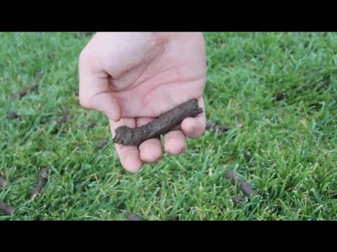 How To Make REALISTIC Fake Poop