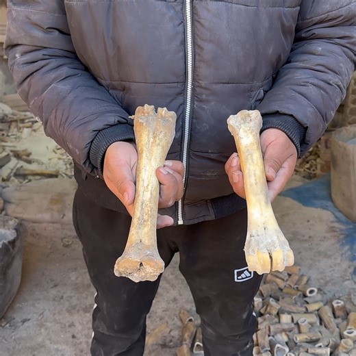 Animals Bones Recycling and Manufacturing Bone Buttons #animalbones #bonestrength #recycling #buttons #manufacturing | Manufacture Garage