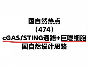 cGAS\u002FSTING信号通路+巨噬细胞，南医大团队这篇单基因文献，可太适合申请国自然了！国自然标书课题设计新思路！