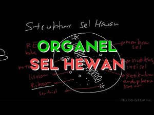 Struktur Sel Hewan