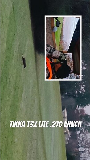 Tikka T3X Lite Stainless Steel Bolt-Action Rifle #animals #nature #archary #biggamehunting