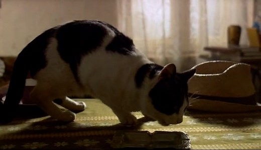 Vratice se Rode ep.11.mkv