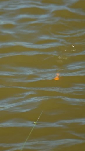 8.9K views · 320 reactions | You guys asked, we finally delivered…...