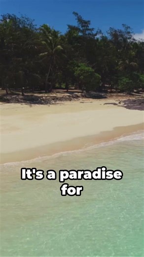 TheFactFileExpress on TikTok