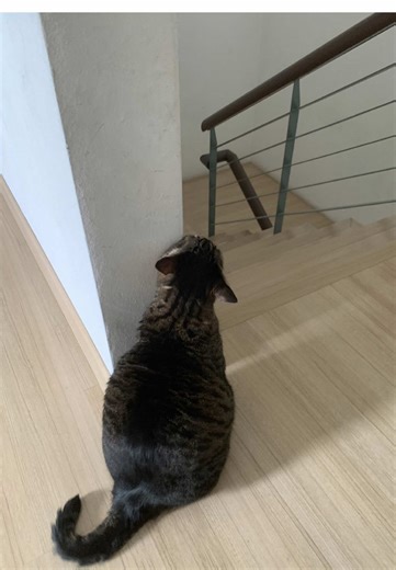 Kembali Ke Malaysia Setelah Bertahun di AS