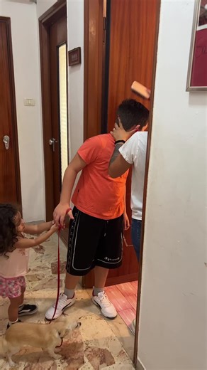 Engaging Dog Activities with Kids at Home