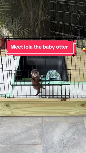 Lola Tries Fish for the First Time