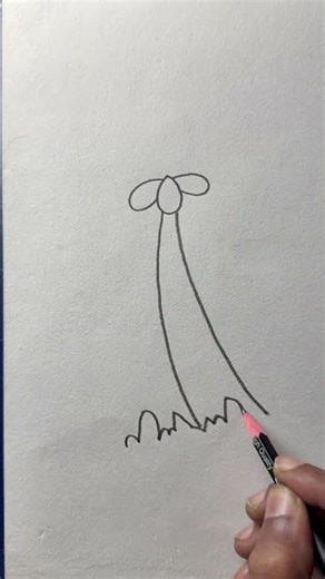 How to draw a coconut tree with pencil