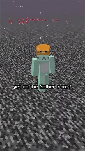 What's The Easiest Way to get on the Nether Roof?