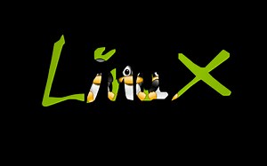 linux学习—LAMP工作原理及门户网站更新实战