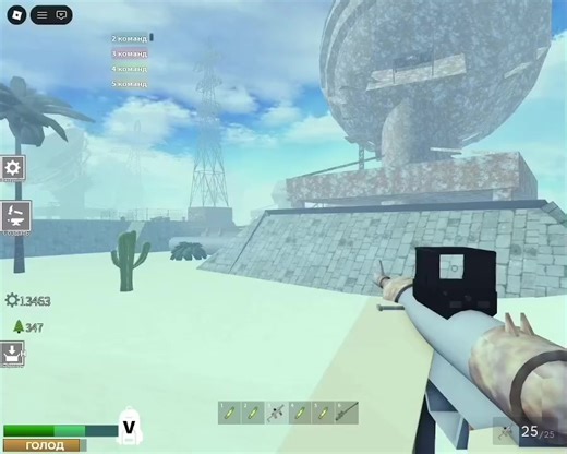 Exploring Rust and Roblox Gameplay Strategies