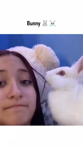 Candy Crush on Instagram: "This moment is special because it shows trust, not randomness. Rabbits are prey animals, hard-wired to avoid anything that feels unpredictable or threatening. In the wild, getting close to a larger creature—especially near the head or face—would be extremely risky. So when a rabbit chooses to sit this close to a person, it’s a meaningful signal. What the behavior means Proximity = safety: Sitting near the face or head means the rabbit feels secure. That’s a vulnerable 