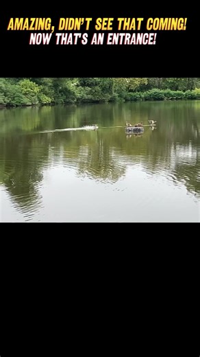 When Ducks Steal the Show 🦆✨" #Ducks #NatureShorts #PondLife"