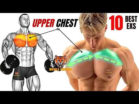 10 BEST UPPER CHEST WORKOUT WITH DUMBBELLS ONLY AT HOME OR AT GYM