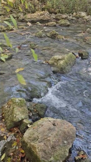 Crystal clear water in a springfed brook. #springwater #travel