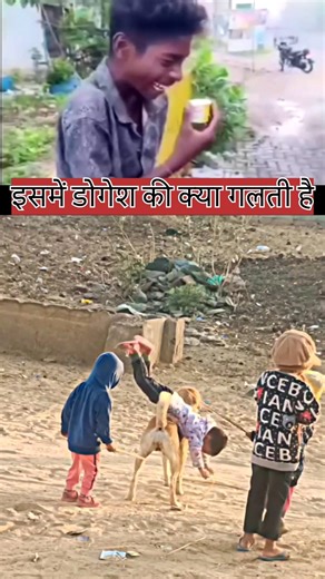 डोगेश भाई के साथ कांड कर दिया dog funny videos #dog #dogs #funny #shorts #desidog