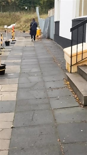 1/2/1 training session This morning I had the pleasure of working with Flynn, a gorgeous little working Cocker Spaniel who’s just 10½ months old. He came along with his owner’s sister, and I have to say, I took an instant liking to her. She clearly knew her stuff, she didn’t chatter away but instead used calm body language, set up structure, and introduced fulfilment exercises for Flynn beautifully. Like many owners, they’ve been struggling with loose lead walking. In the first video you’ll see 