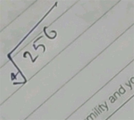 Find the fourth root of 256.    \sqrt[4]{256}... | Filo