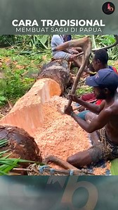 Cara Membuat Sagu Secara Tradisioanl di Papua Indonesia #fblifestyle | Jelajah Bumi