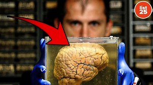 25 Cognitive Biases That Trick Your Brain Every Day