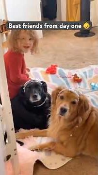 Dogs and Babies = Cutest Friendship Ever 🐶