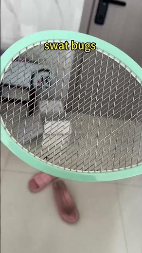 How Does Tianwang Electric Fly Swatter Kill Flies and Flying Insects