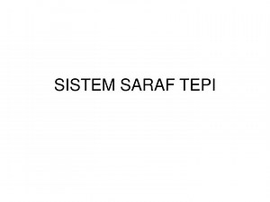 SISTEM SARAF TEPI - SlideServe