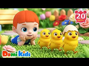 1 2 3, Counting Fun with Little Chicks! | Numbers | Kids Songs & Nursery Rhymes | Domi Kids
