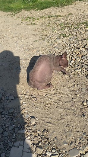 Рекомендовані акаунти