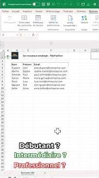 🇫🇷~ Hiding data in #Excel: Beginner vs. Intermediate vs. Pro