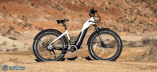 Denago Fat Tire Step-Thru E-Bike Review, 2024 – Electric Bike Report