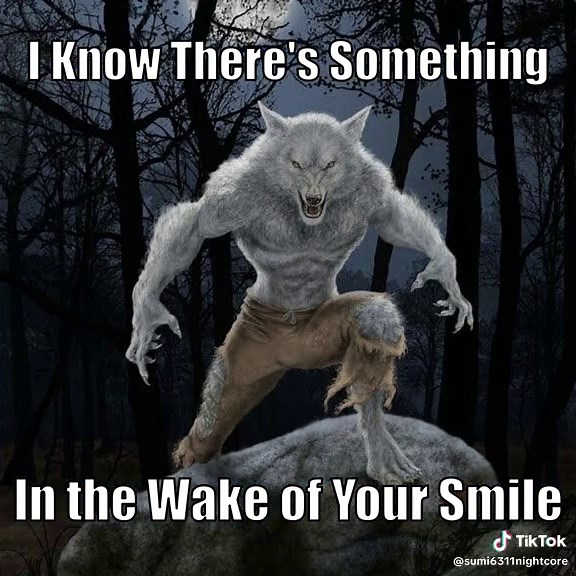 #nightcore #oldweb #nostalgia #listentoyourheart #sigma #alphawolf #trance #eurodance #electronicmusic