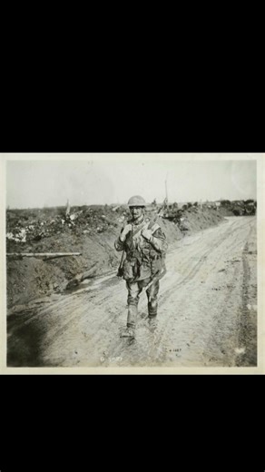 Life Inside the Trenches world war I