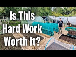 Big Plant Out And New Growth In Spring | Allotment Gardening UK